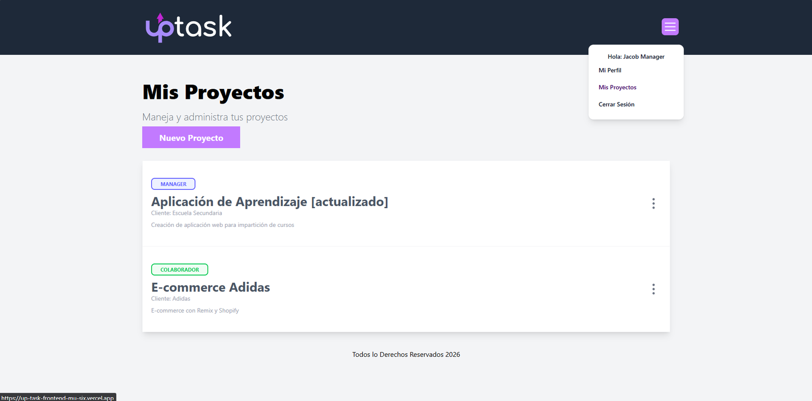 Administrador de Proyectos